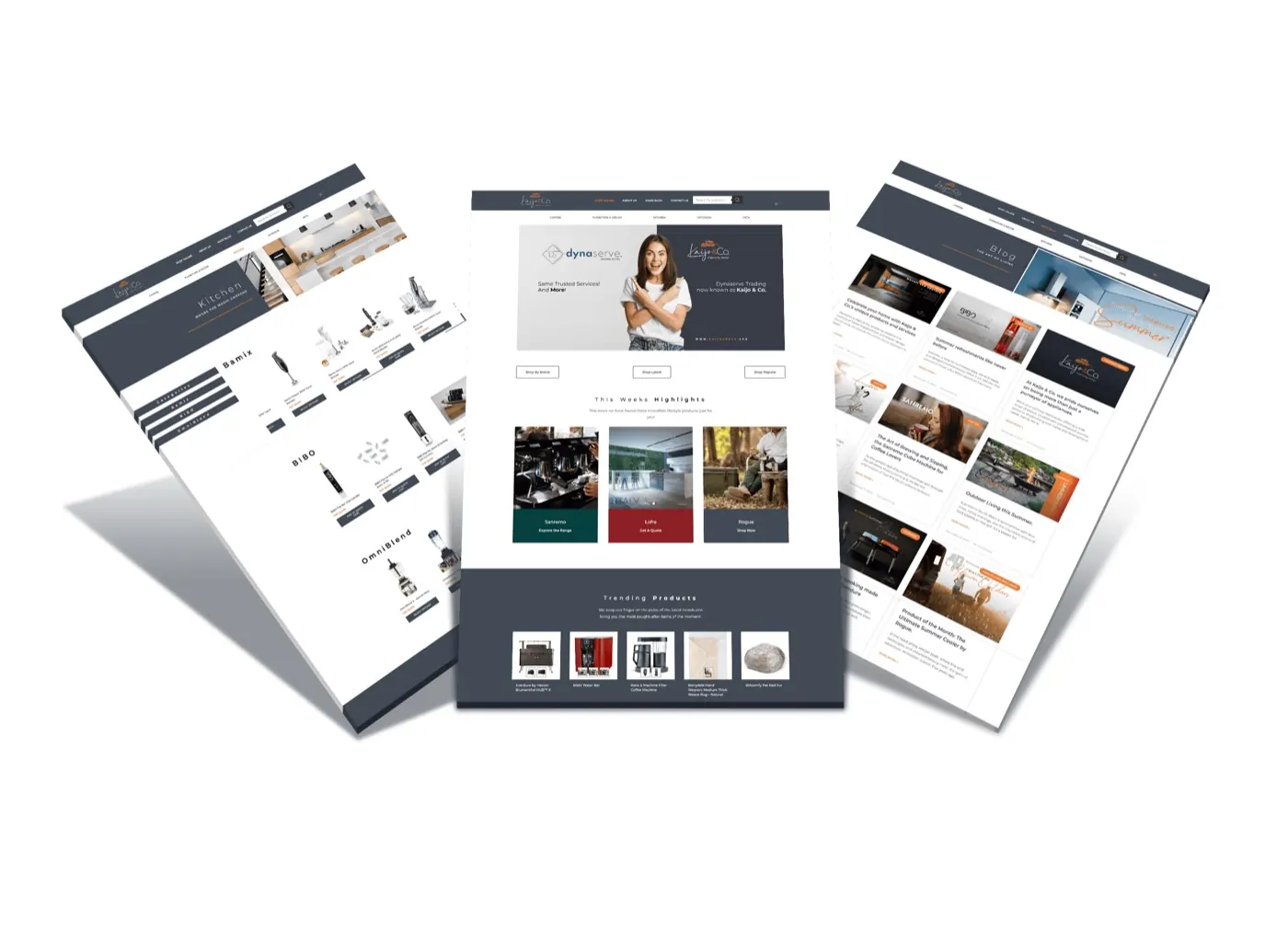 Kaijo & Co website design